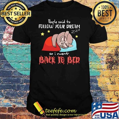 People Said To Follow Your Dream So I Went Back To Beb Owl Shirt