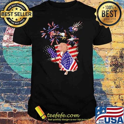 Pitbull Eagle American Flag Shirt