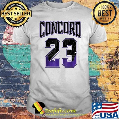 Simple 23 Made To Match With Jordan 12 Darck Concord Shirt