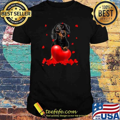 Valentine’s Day Heart Dachshund Dog Lover Gifts Shirt
