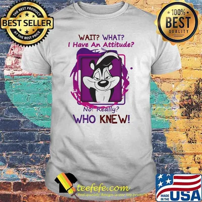 Wait That I Have An Attitude o Really Who Knew Shirt