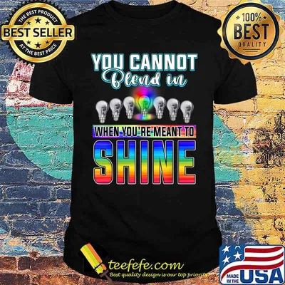 You Can't Blend In When Meant To Shine Neurodiversity LGBT Shirt