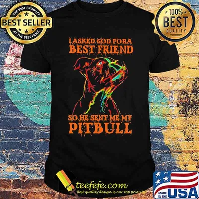 I Asked God Fora Best Frined So He Sent Me My Pitbull Watercolor Shirt