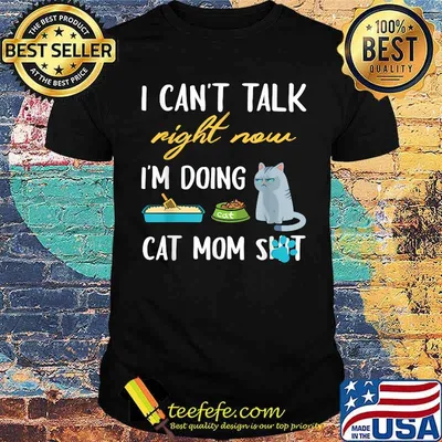 I cant talk right now im doing cat mom shit T-Shirt