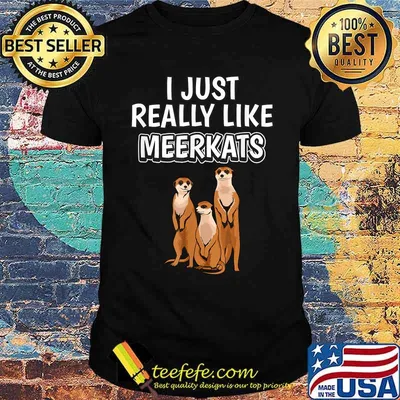 I Just Really Like Meerkats T-Shirt