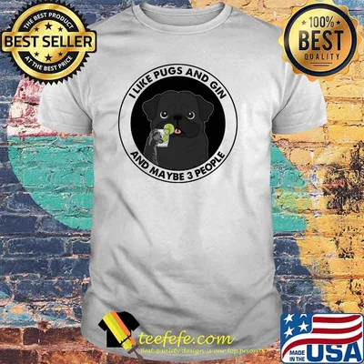 I Like Pugs And Gin And Maybe 3 People Cat Shirt