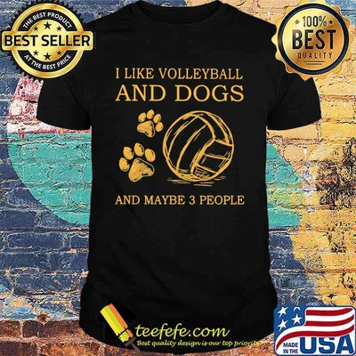 I Like Volleyball And Dogs And Maybe 3 People Shirt