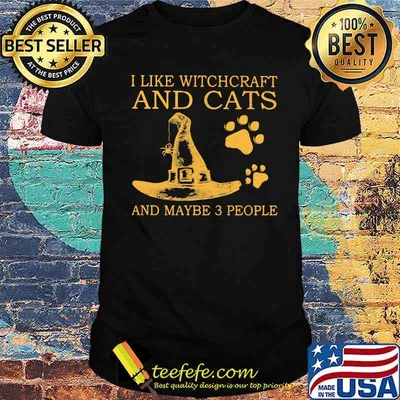 I Like Witchcraft And Cats And Maybe 3 People Shirt