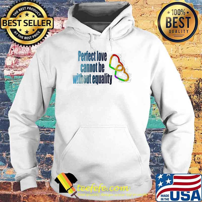Perfect love Cannot be Without Equality LGBT Shirt Hoodie Perfect love Cannot be Without Equality LGBT Shirt Hoodie
