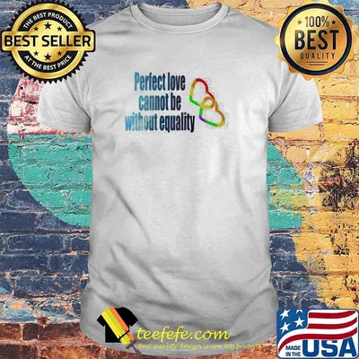 Perfect love Cannot be Without Equality LGBT Shirt