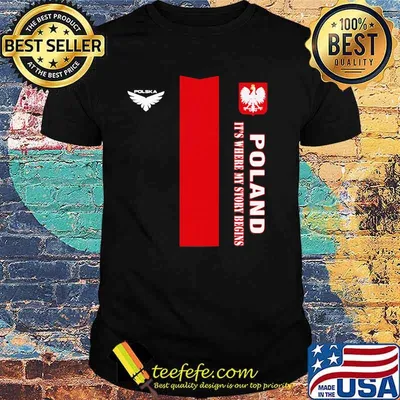 Poland DSA 2 It's Where My Story Begins Shirt