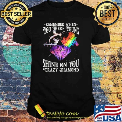 Rememeber when you were young shine on you crazy diamond Dark side shirt