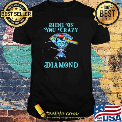 Shine on you crazy diamond Pink Floyd shirt