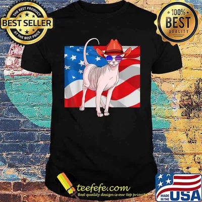 Sphynx Cat 4th Of July Patriotic American Flag T-Shirt