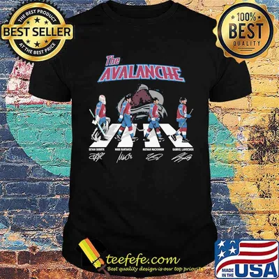 The alavanche abbey road signature shirt