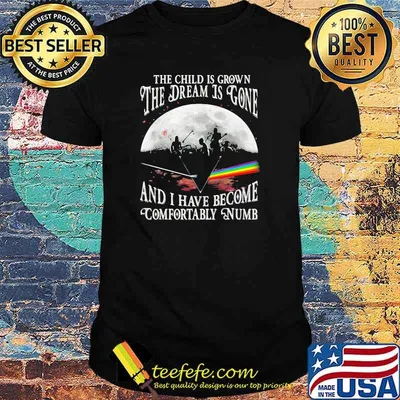 The child is grown the dream is gone and i have become comfortably numb pink floyd moon shirt