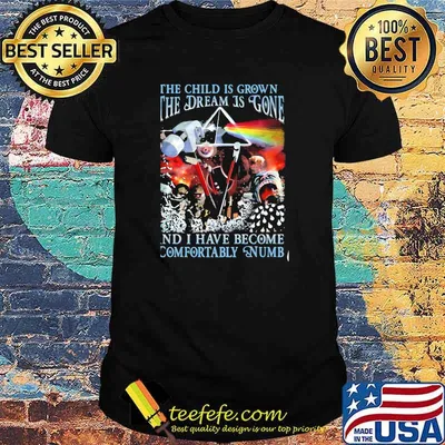 The child is grown the dream is gone and i have become comfortably numb Pink floyd shirt