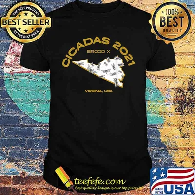 Virgina Brood X Cicada Invasion 2021 T-Shirt
