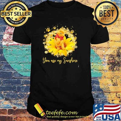 You are my sunshine pool bear flower shirt