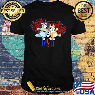 Blueys 4th of July Red White And Blue America T-Shirt