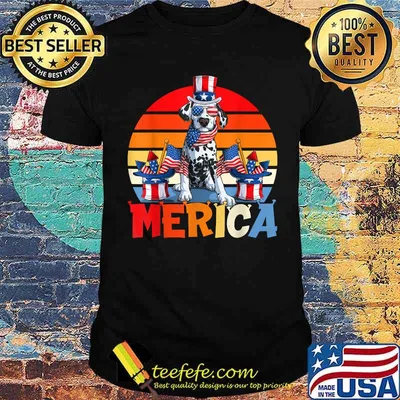 Dalmatien Merica Firework 4th Of July Vintage T-Shirt