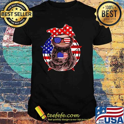Funny Sloth American Flag Shirt