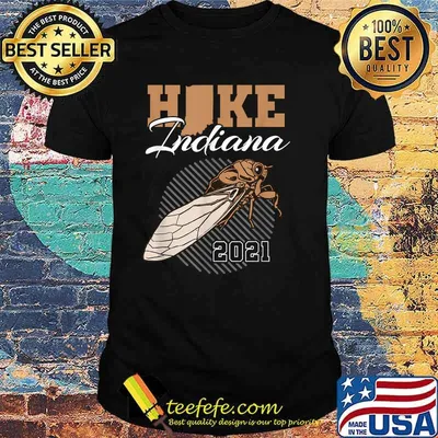 Hike Indiana Cicada Brood X 2021 T-Shirt
