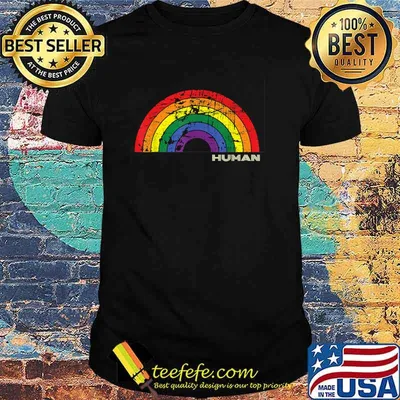 Human Gay Pride Retro LGBTQ Rainbow Vintage T-Shirt