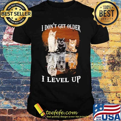 I dont get older i level up cat shirt