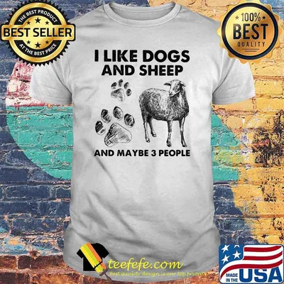 I Like Dogs And Sheep And Maybe 3 People Shirt