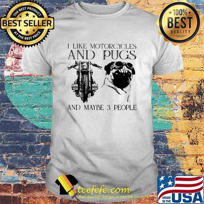 I Like Motorcycles And Pugs And Maybe 3 People Shirt