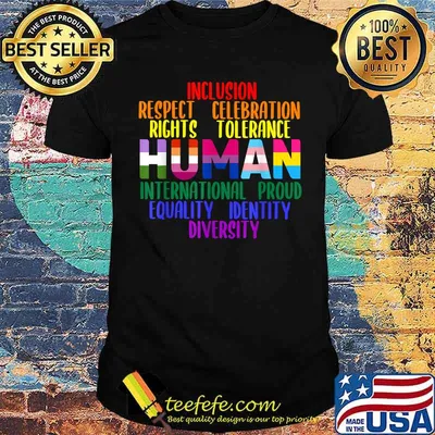 Inclusion respect Human Gay Rights LGBT Gay Pride T-Shirt