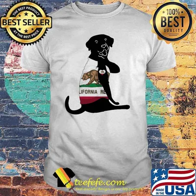 Love California Dog Shirt