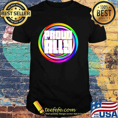 Proud Ally LGBT Rainbow Color T-Shirt