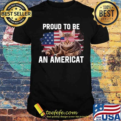 Proud To Be An Americat Vintage American Flag 4th of July T-Shirt
