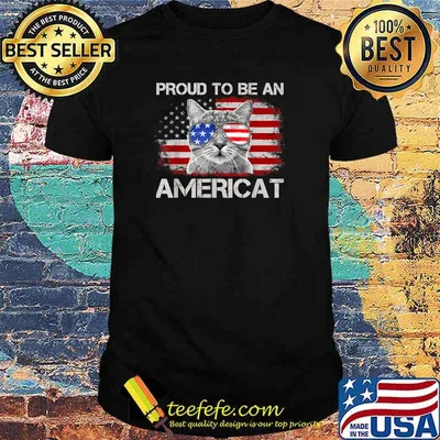 Proud To Be An Americat Vintage Flag 4th of July T-Shirt
