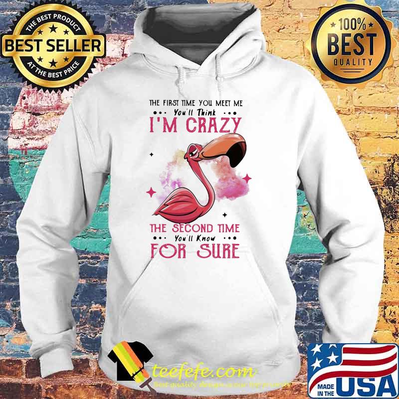 The First Time You Meet Me You'll Think I'm Crazy The Second Time You'll Know For Sure Flamingo Shirt Hoodie The First Time You Meet Me You'll Think I'm Crazy The Second Time You'll Know For Sure Flamingo Shirt Hoodie