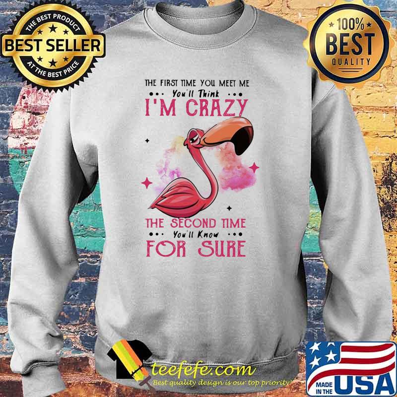 The First Time You Meet Me You'll Think I'm Crazy The Second Time You'll Know For Sure Flamingo Shirt Sweater The First Time You Meet Me You'll Think I'm Crazy The Second Time You'll Know For Sure Flamingo Shirt Sweater