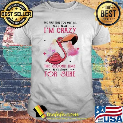 The First Time You Meet Me You'll Think I'm Crazy The Second Time You'll Know For Sure Flamingo Shirt