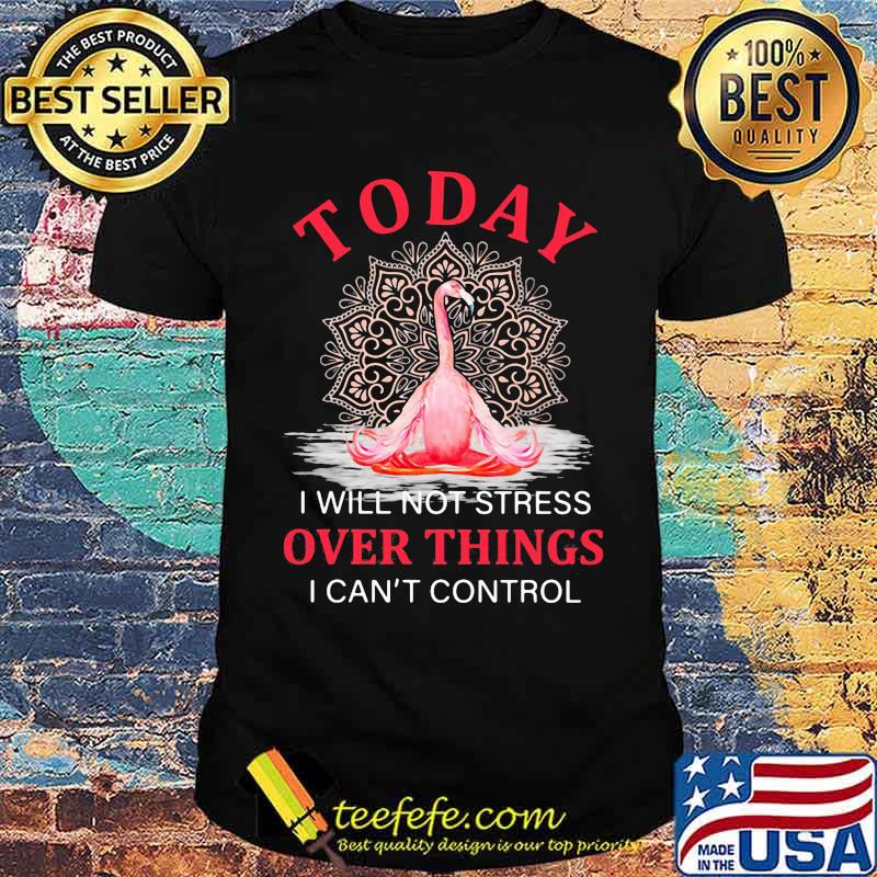Today I Will Not Stress Over Things I Can't Control Flamingo shirt