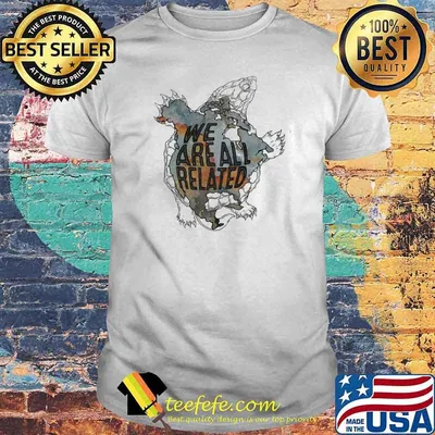 We Are All Related Turtle Shirt