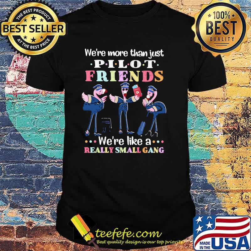 We're More Than Just Pilot Friends We're Like A Really Small Gang Flamingo Shirt