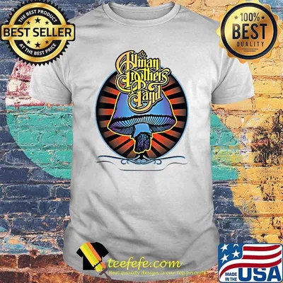 Allman Brothers Band Funny Dealmans T-Shirt