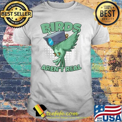 Birds Aren't Real Drone Conspiracy Government Conspiracies T-Shirt