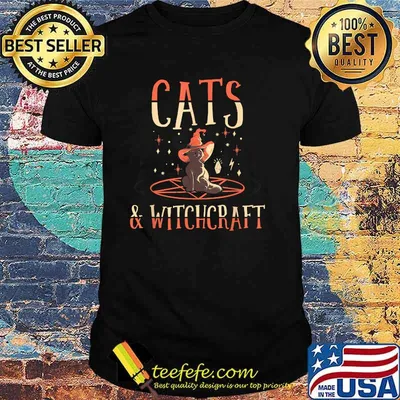 Cats & Witchcraft Cats Wicca Pagan Witchcraft T-Shirt