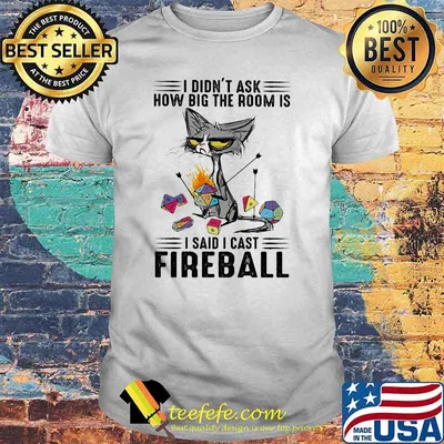 I didnt ask how big the room is i said i cast fireball black cat shirt