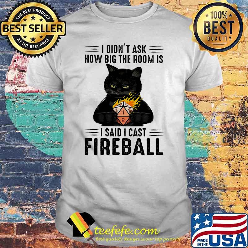 I didnt ask how big the room is i said i cast fireball cat shirt