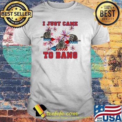 I Just Came To Bang Racoon Firework Shirt