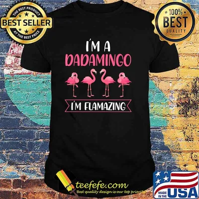 I'm a Dadamingo I'm flamazing Flamingo T-Shirt