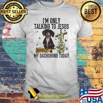 I'm Only Talking To Jesus And My Dachshund Today Butterfly Shirt